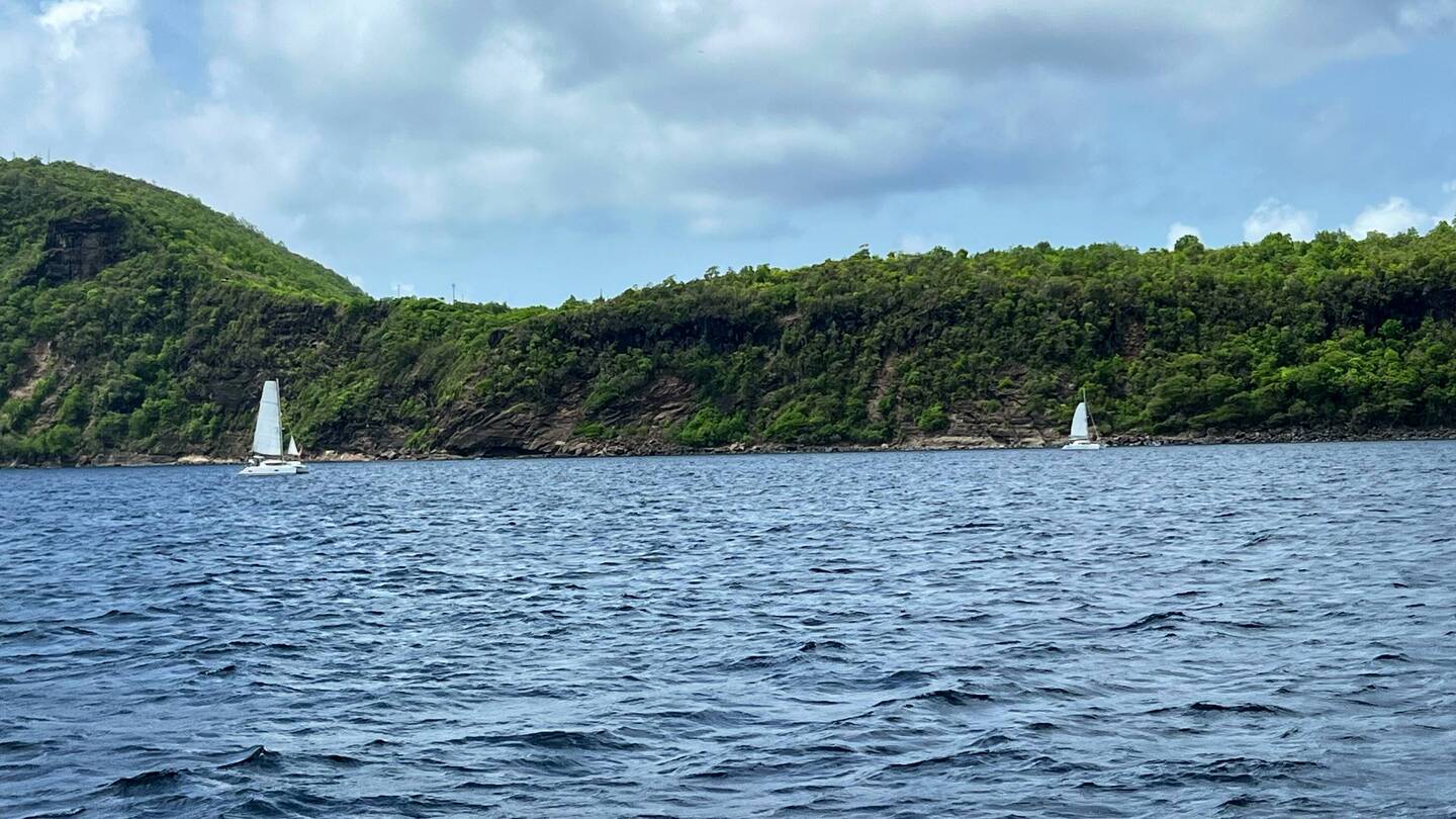 Die Regatta kann beginnen