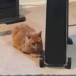 Heater hugger