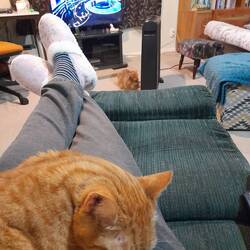 Lazy evening