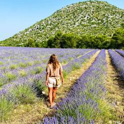 Ein Stück Provence kurz vor der Grenze zu Montenegro...