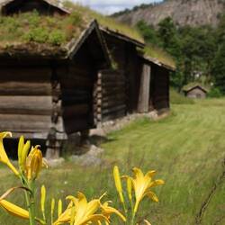 ... und ist daher auch auf der UNESCO- Liste des immateriellen Kulturerbes 👍🏻
