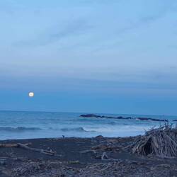 Beautiful moon. The pic doesn't begin to do it justice