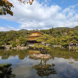 Das Motiv, das alle wollen