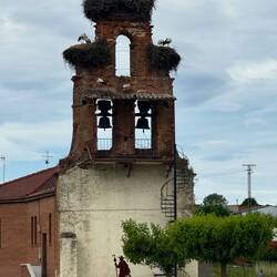 Pelicans nesting over abandoned church bell tower in Valverde del Virgen