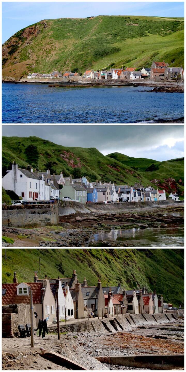 Crovie