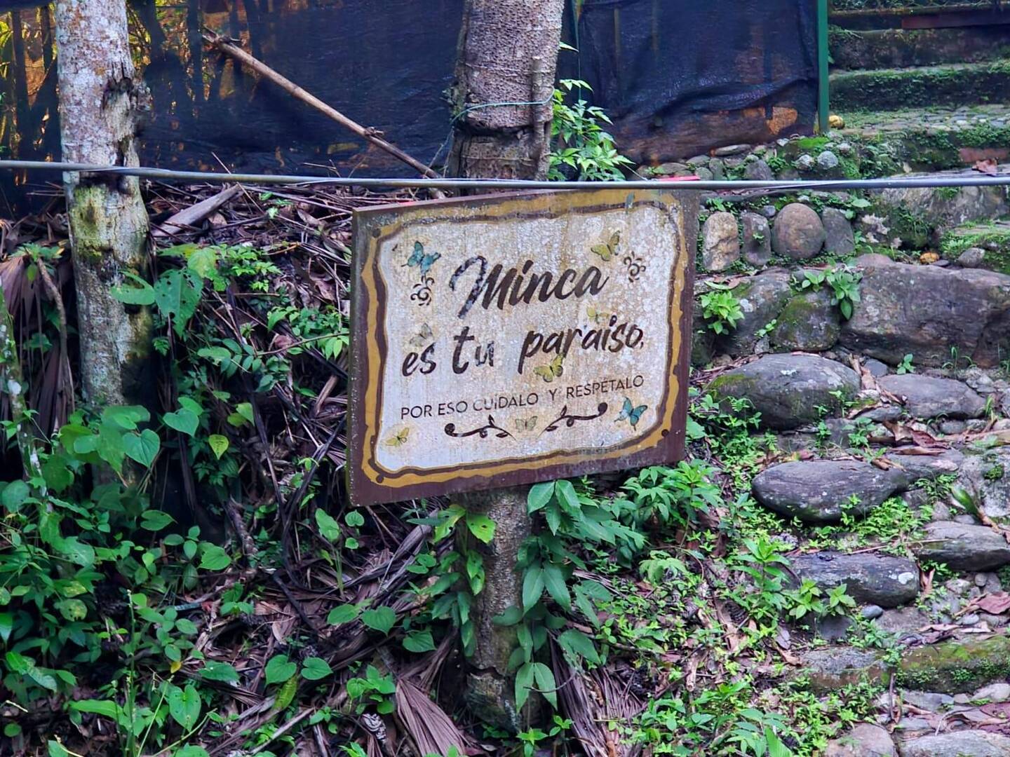 Welcome to Minca