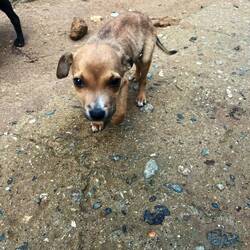 Mach's gut kleiner Freund und halte durch 🥺