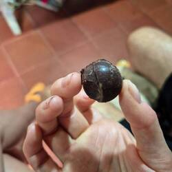 Aus Kakao, Honig, Milchpulver, Salz und Kaffeebohnen waren diese fantastischen Leckerbissen 🤤