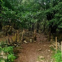 Another lovely trail through the trees