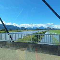 der Rhein ist über die Ufer