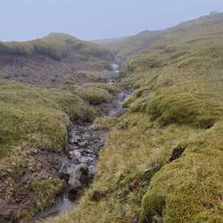 Irgendwoher kommt das Wasser...