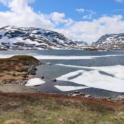 Sind leider zu voll gefressen, fahren besser weiter😅