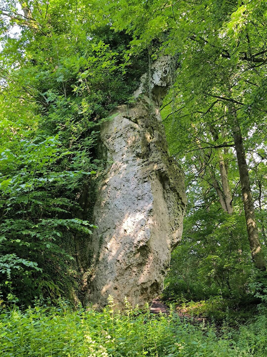 Burgruine Scharzfeld