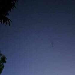 Flying Foxes, muesch guet luege