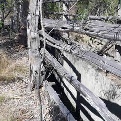 Mataranka sheep dip - historical 😉