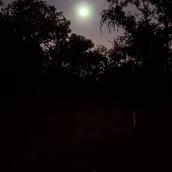 Und Vollmond ist auch noch