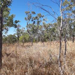 Und oberirdisch sieht's so aus