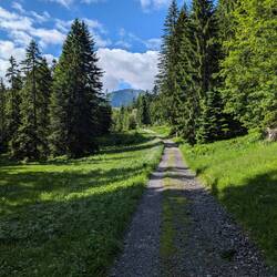 Sonnenschein, als ob nix gewesen wäre