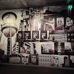 Shepard Fairey