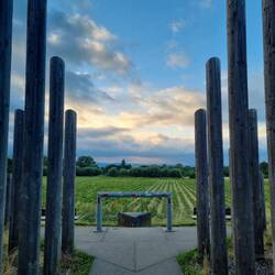 ... mit Ausrichtung auf die Skyline Frankfurts.