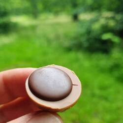 Letzter Reiseproviant meiner betagten Mutter!😘