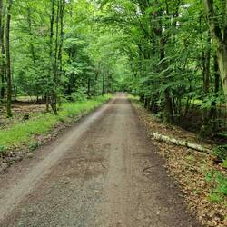 Etwas anstrengend, kilometerlange Wald- und Forststrassen!