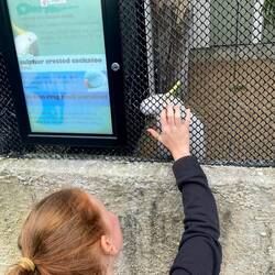 C'est un tatouage malabar maman tqt 👀😬