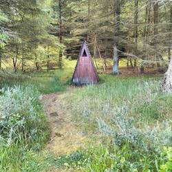 Primitive Toilette