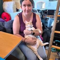 unsere Kuschelkatze wenn wir alleine mit ihr sind