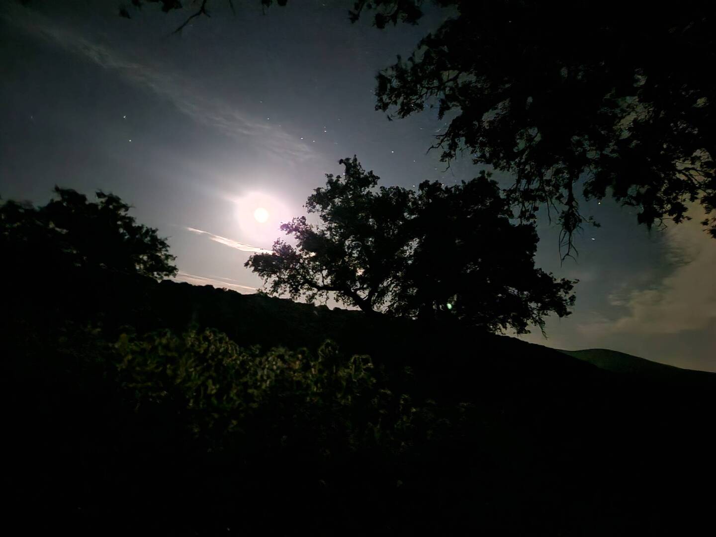 Mond im Halbschlaf.