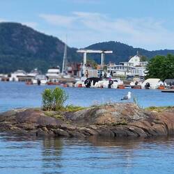 Campingplatzaussicht wie wir es mögen