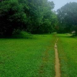 A nice little flat trail along the river