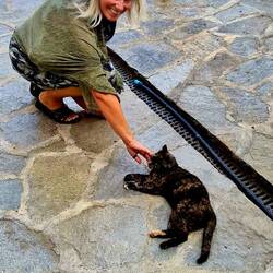 Sie kann nicht vorbeigehen ohne...