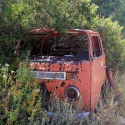 At the end, nature wins!