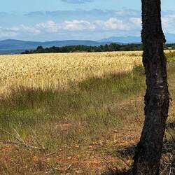 The mountains of Galacia await