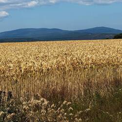 The mountains of Galacia