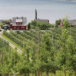 Schöne letzte Eindrücke