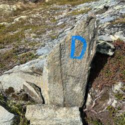 Immer dem dicken D nach