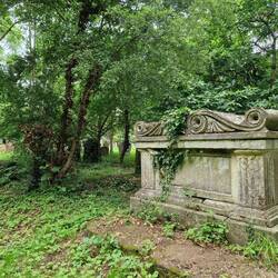 There was a certain beauty seeing the gravestones being reclaimed by nature.