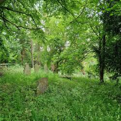 The old section of the graveyard was left to nature.