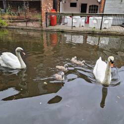 We saw this little family most days.