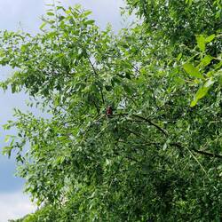 This Kingfisher allowed the boat to come really close!