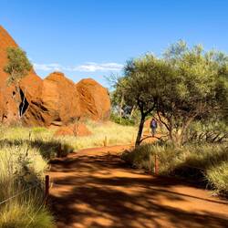 Mala Walk — Uluru, NT.