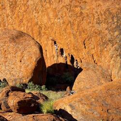 Mala Walk — Uluru, NT.