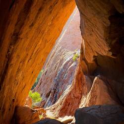 Kulpi Minymaku ... the kitchen cave — Mala Walk.
