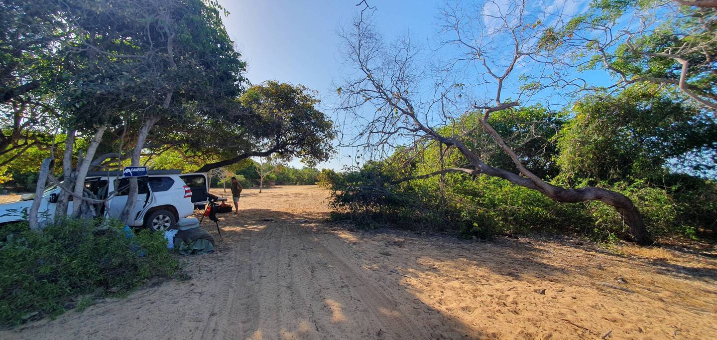 Camp site Running Creek (site 1, Dugong)