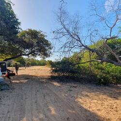 Camp site Running Creek (site 1, Dugong)