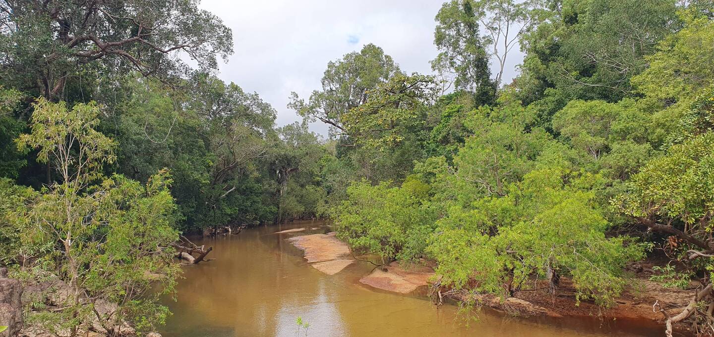 Wenlock River, looking upstream east of the causeway