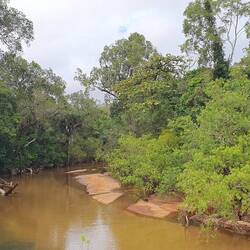 Wenlock River, looking upstream east of the causeway