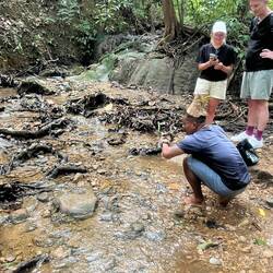 Mr. M unser tourguide, aufgewachsen im jungle